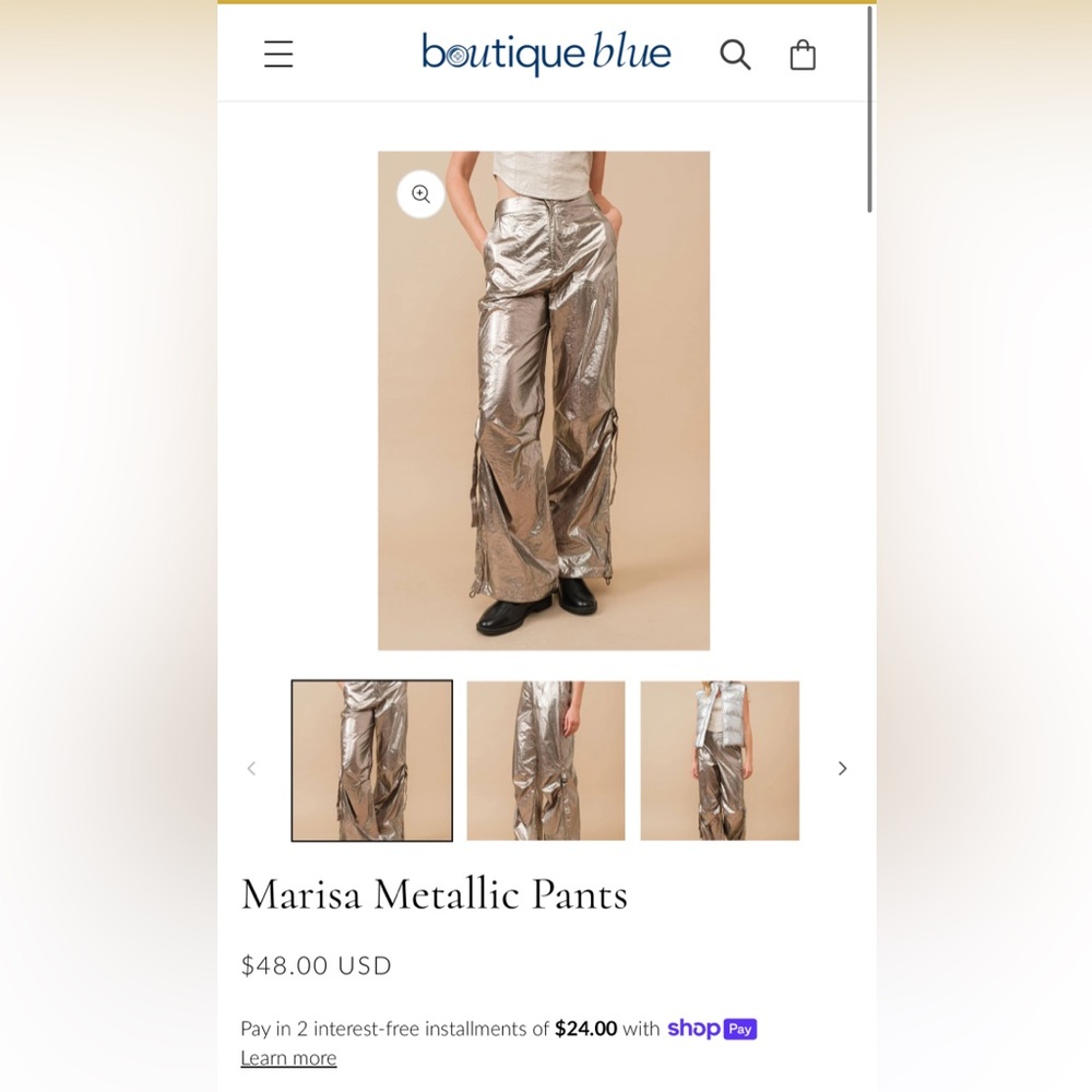 Metallic Pants - Picture 5 of 5